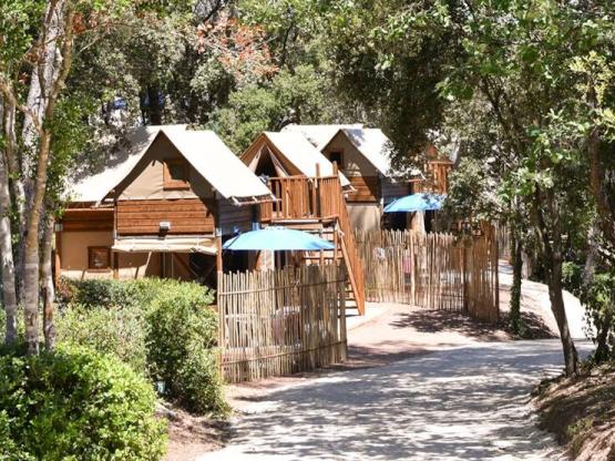 MAXI Boomhut - 30m² - ongebruikelijke accommodatie