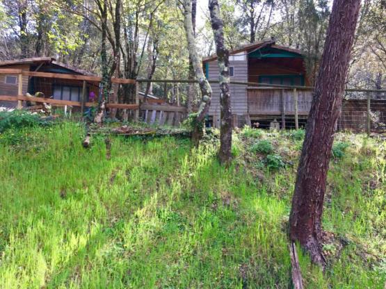 Chalet Érable et Pêcher - 2 slaapkamers