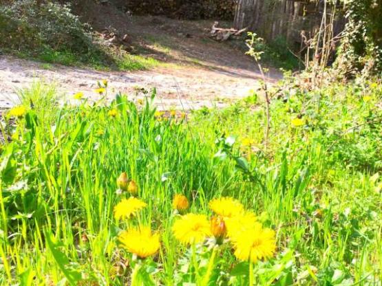 Chalet 5 à 7 personnes - 2 slaapkamers