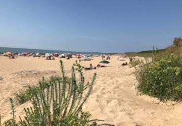 Chadotel Tahiti Village