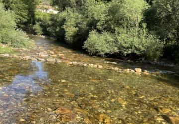 Camping Des Deux Séquoias