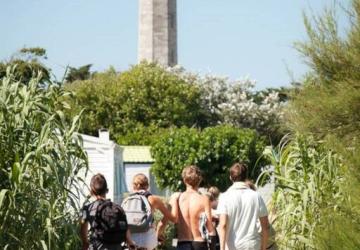 Camping Les Baleines