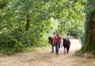 Domaine de l'Oiselière