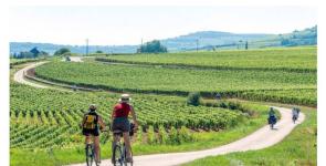 Camping Onlycamp Les Premières Vignes